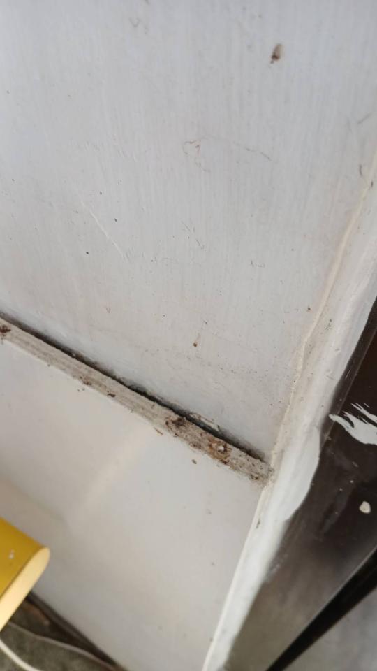 泥作/水泥施工案件圖片