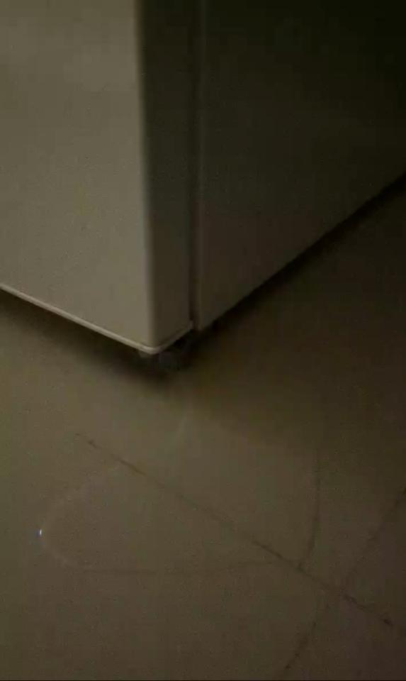 冰箱維修案件圖片