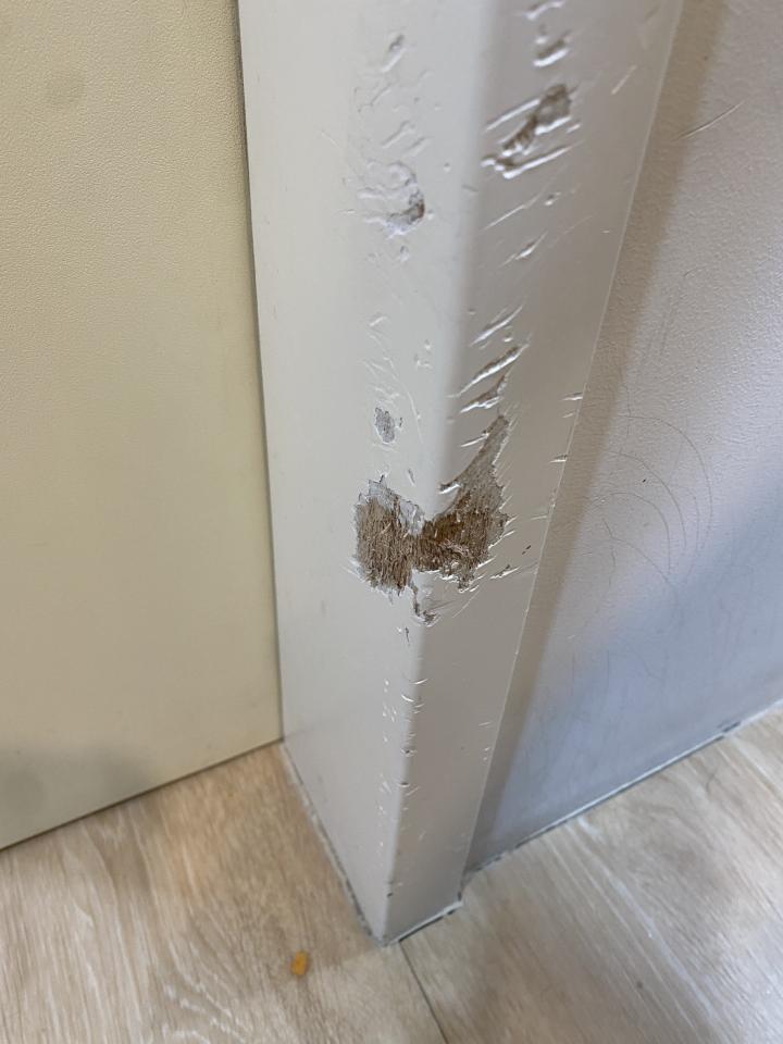 居家修繕案件圖片