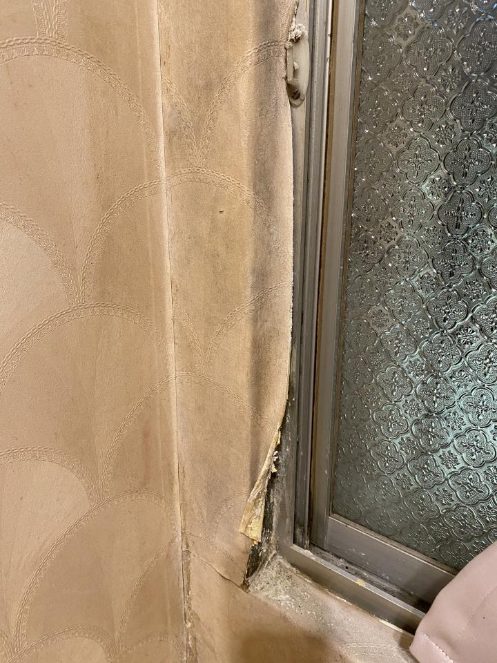 壁癌處理案件圖片