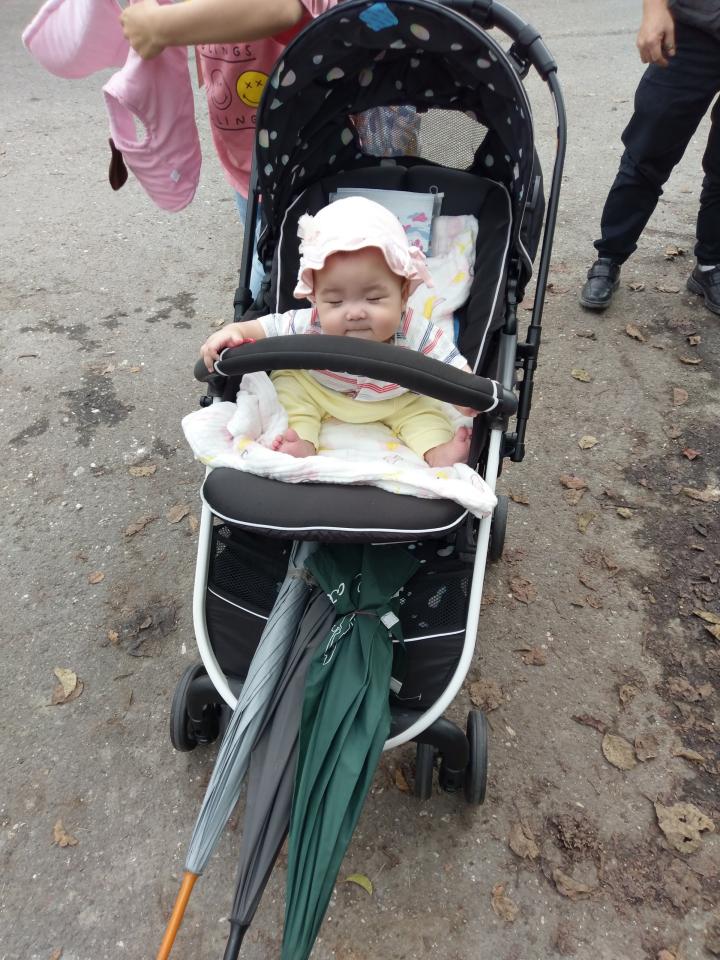 安全座椅清洗案件圖片