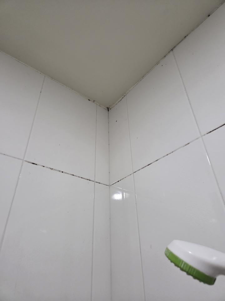 浴室除霉清潔案件圖片