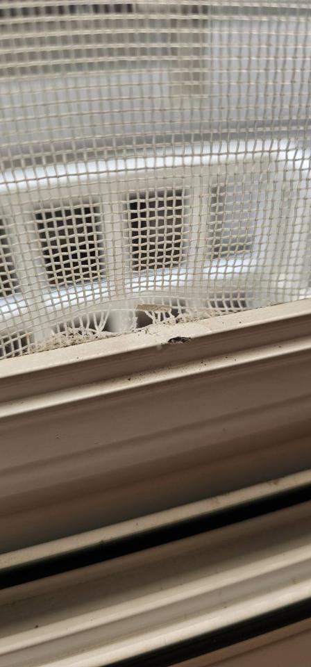 紗窗裝修案件圖片