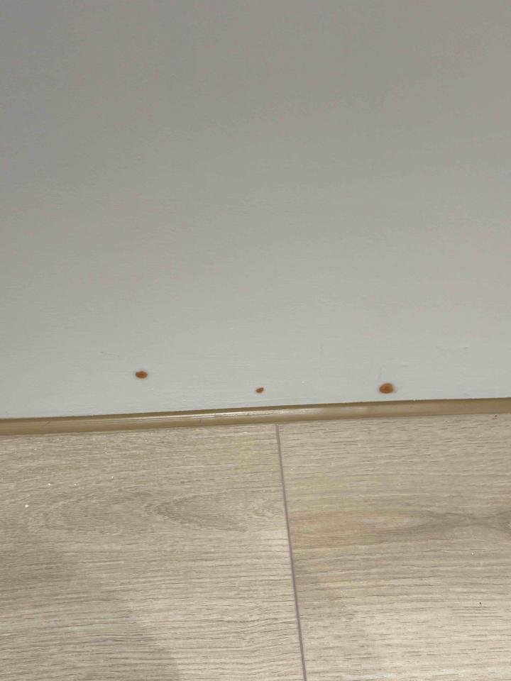 油漆工程案件圖片