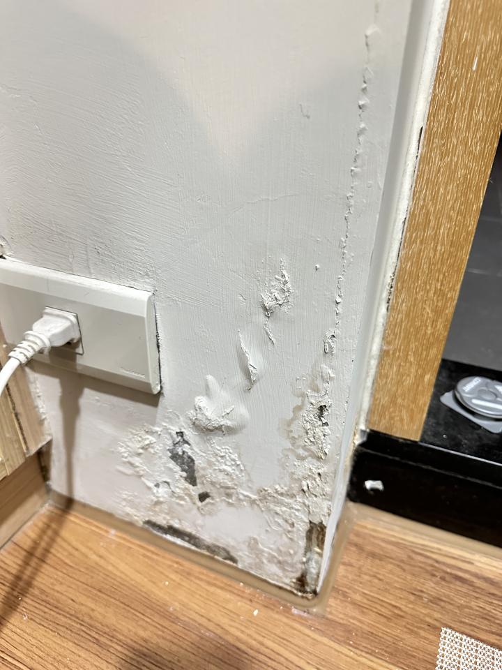 壁癌處理案件圖片