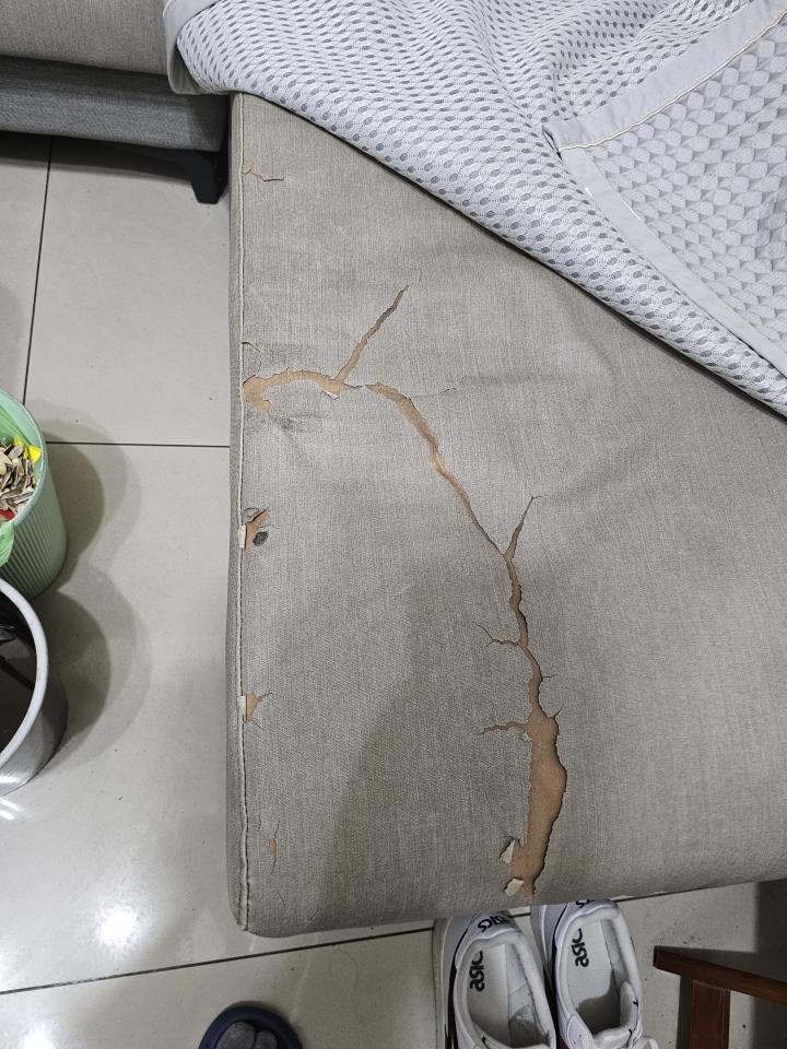 沙發修理案件圖片