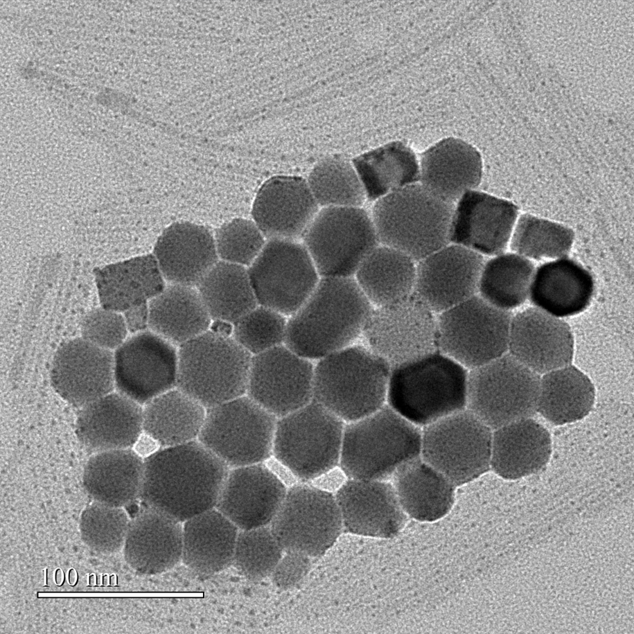 軟體開發案件圖片