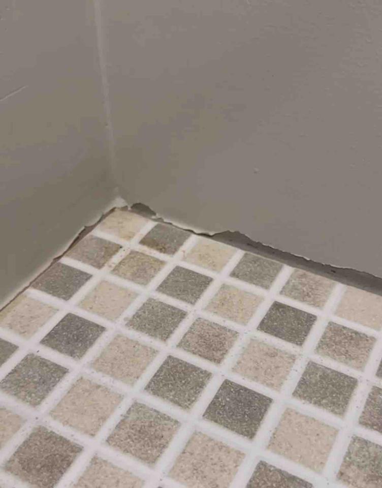 油漆工程案件圖片