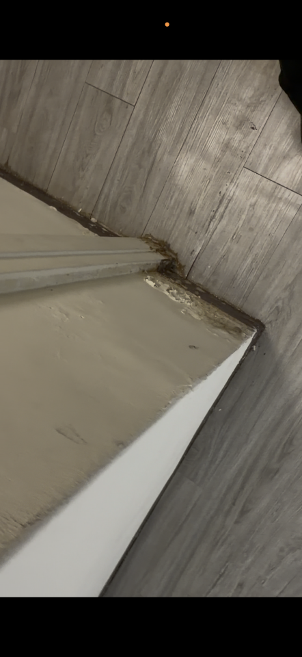 壁癌處理案件圖片