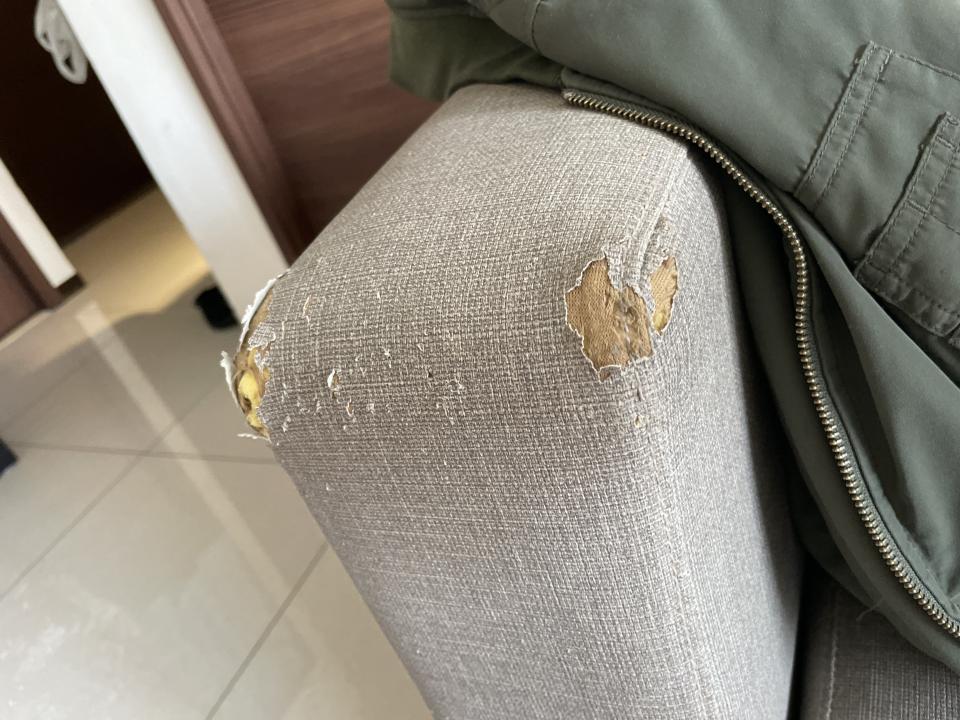 沙發修理案件圖片