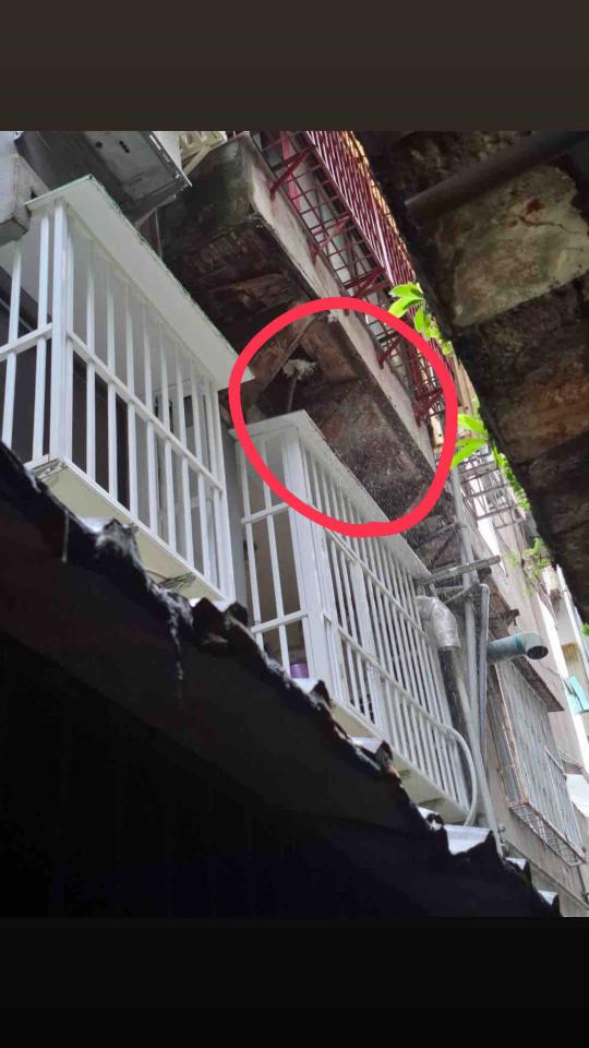 水管維修案件圖片