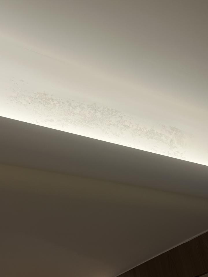 油漆工程案件圖片