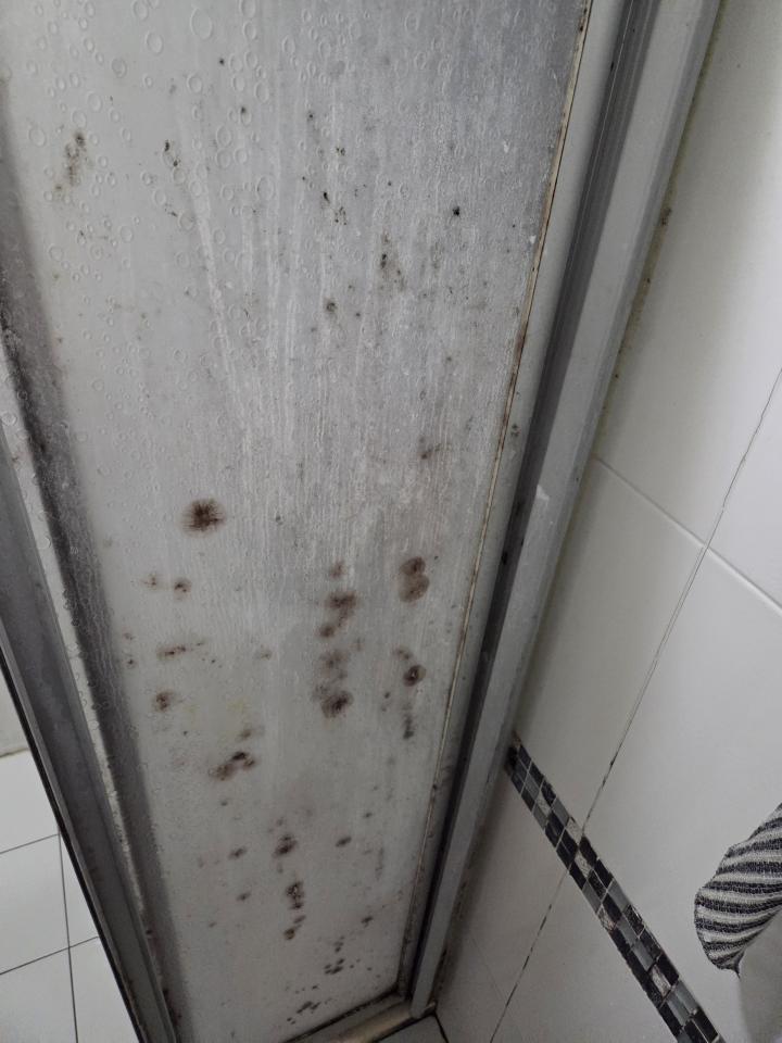 浴室除霉清潔案件圖片