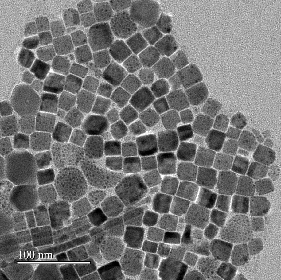 軟體開發案件圖片