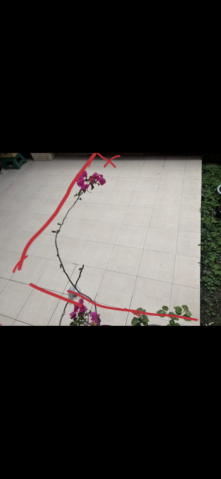 拆除工程案件圖片