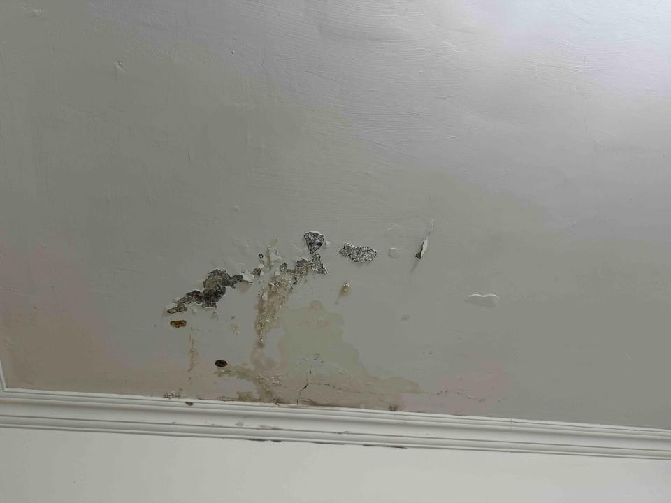 壁癌處理案件圖片