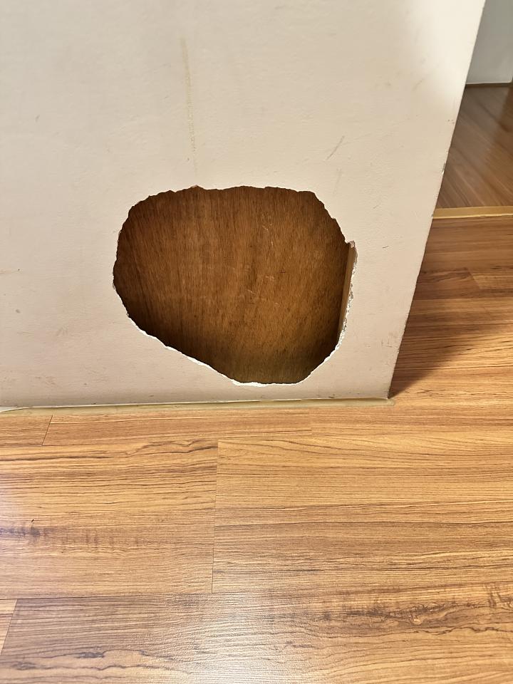 壁癌處理案件圖片