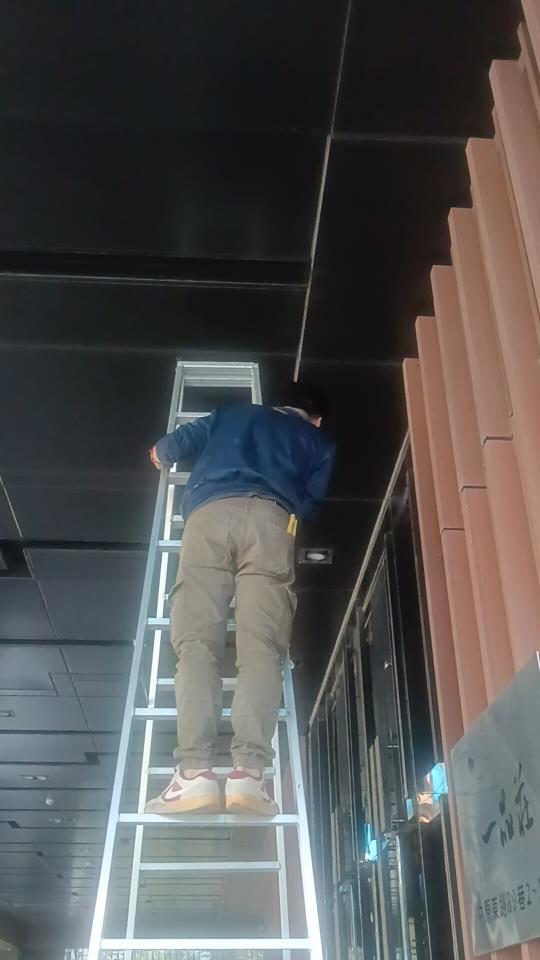 鷹架出租案件圖片