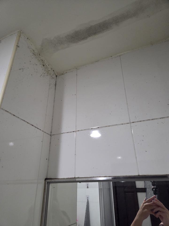 浴室除霉清潔案件圖片