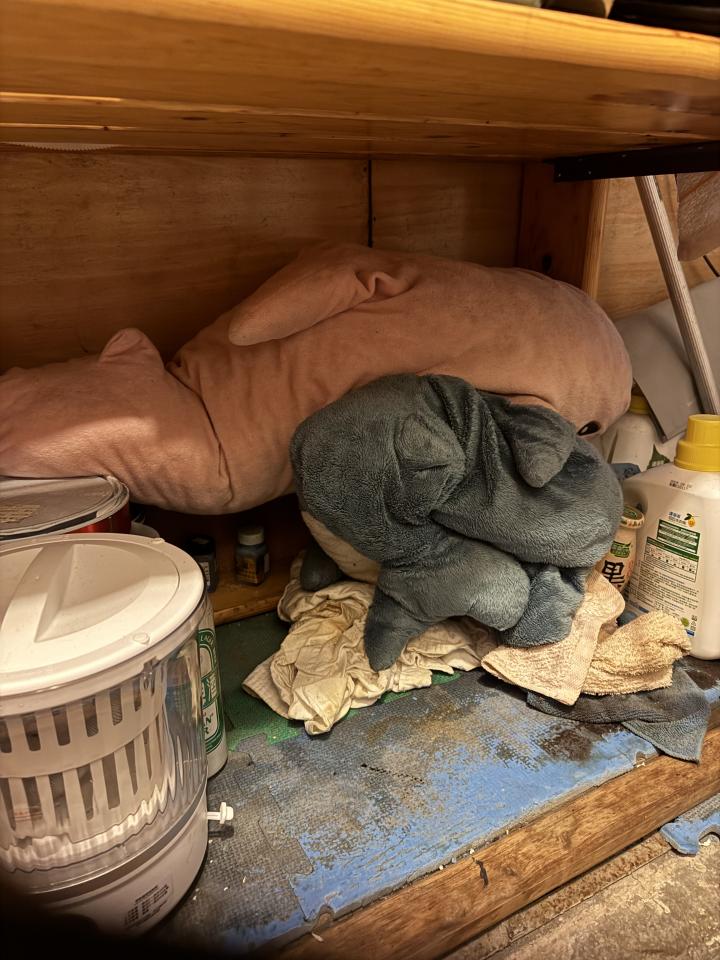 代收垃圾案件圖片