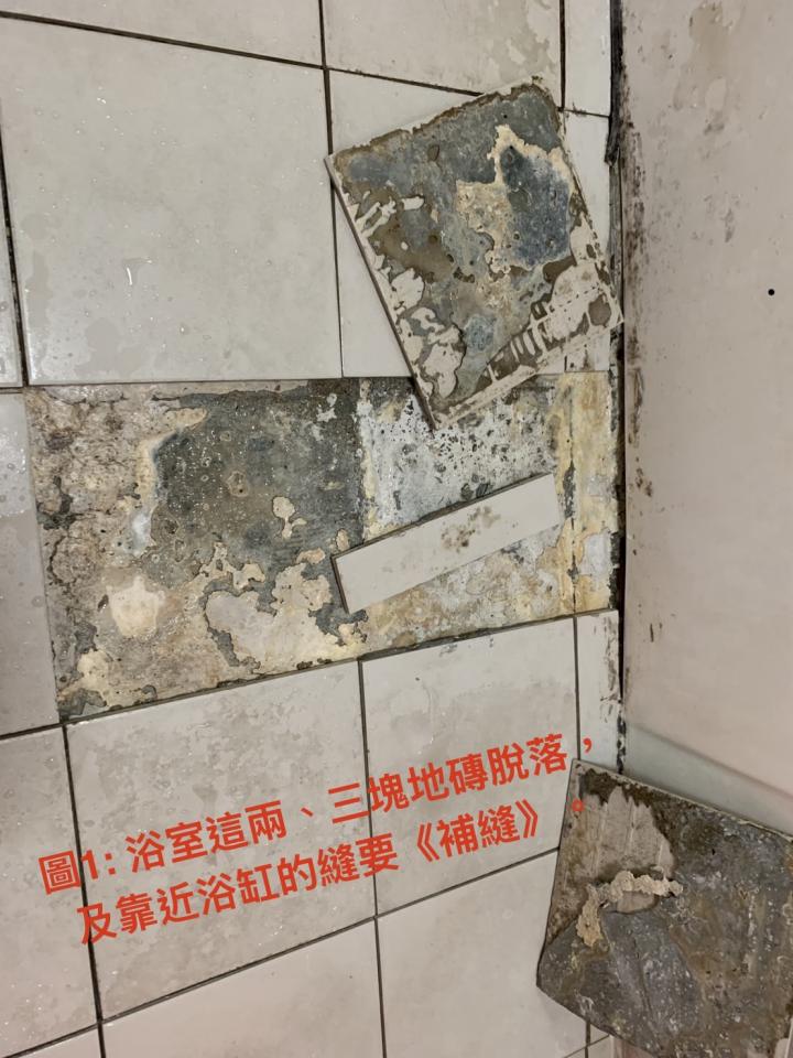 泥作/水泥施工案件圖片