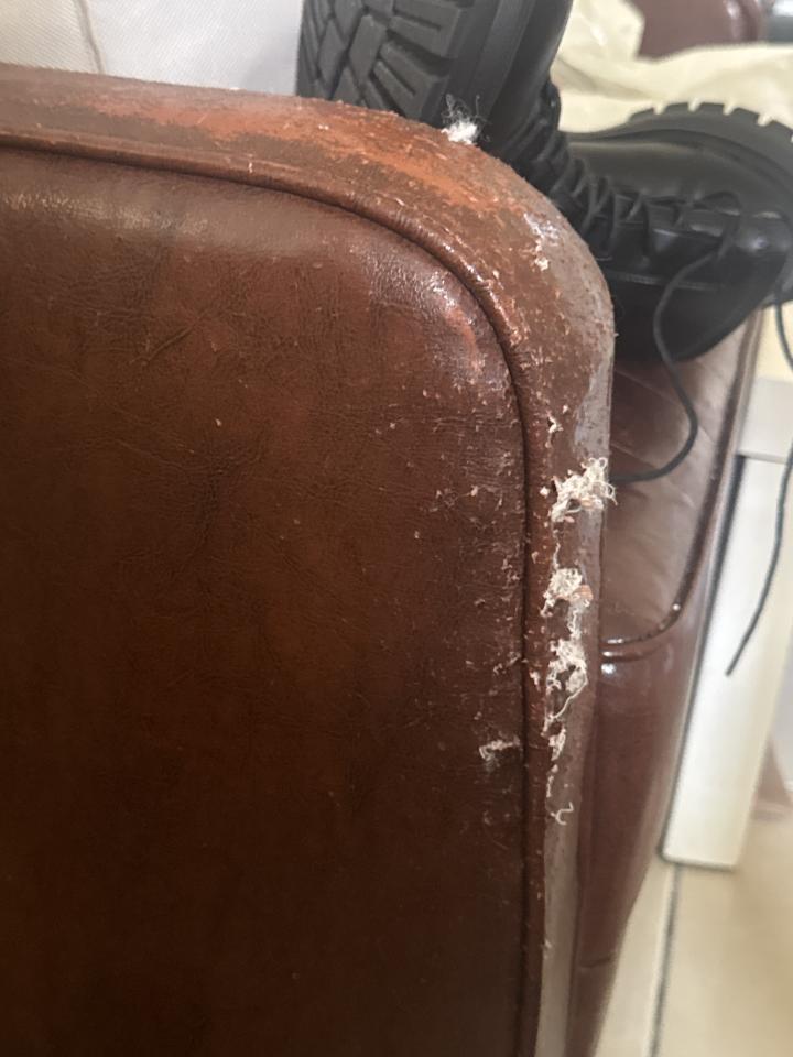 沙發修理案件圖片