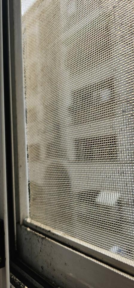 紗窗裝修案件圖片