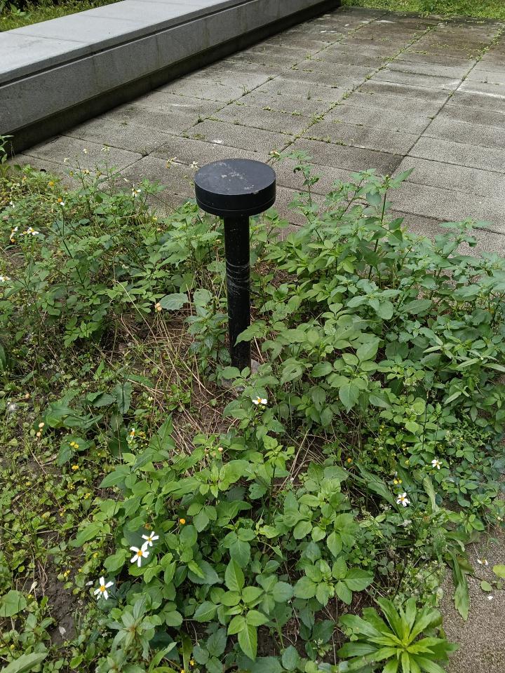 燈具維修案件圖片