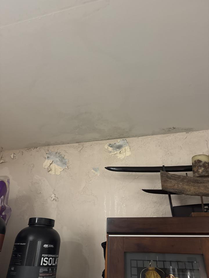 漏水鑑定案件圖片