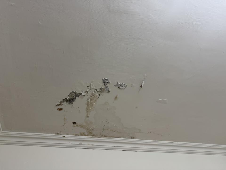 壁癌處理案件圖片