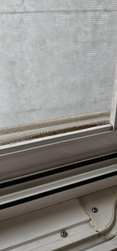 紗窗裝修案件圖片