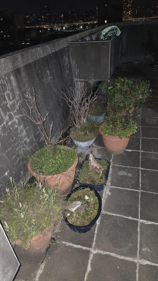 大型垃圾回收案件圖片