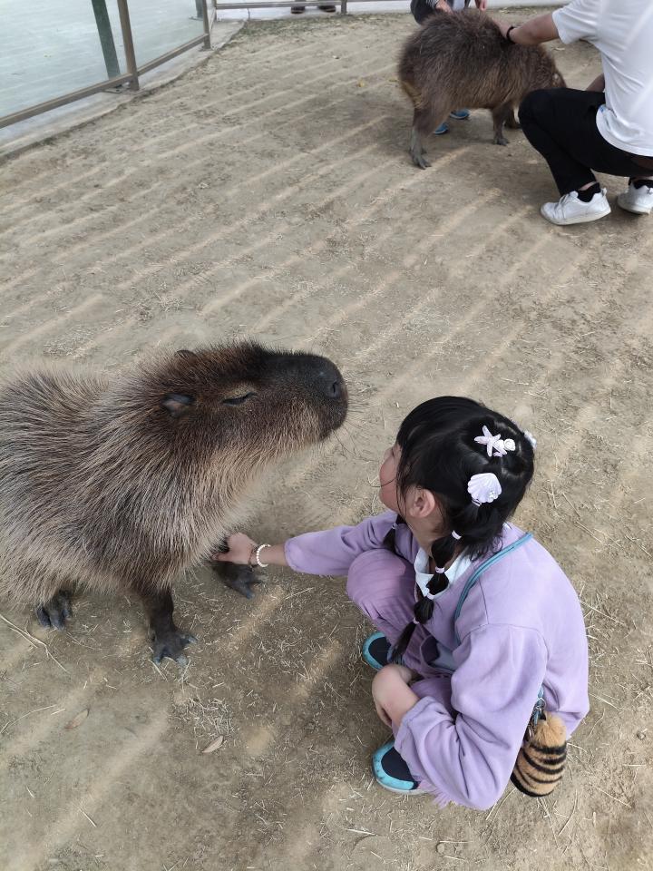 美髮服務案件圖片