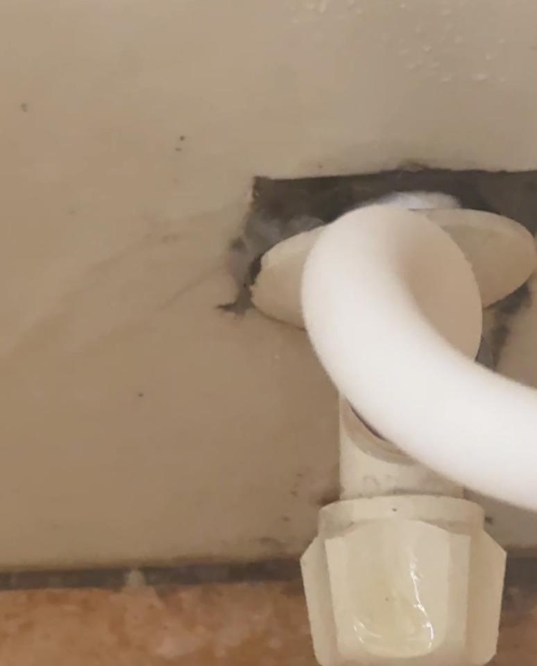 水電行案件圖片