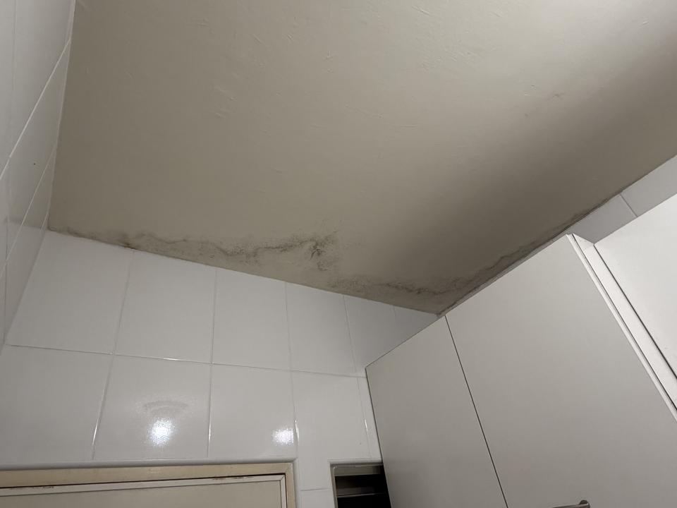 壁癌處理案件圖片