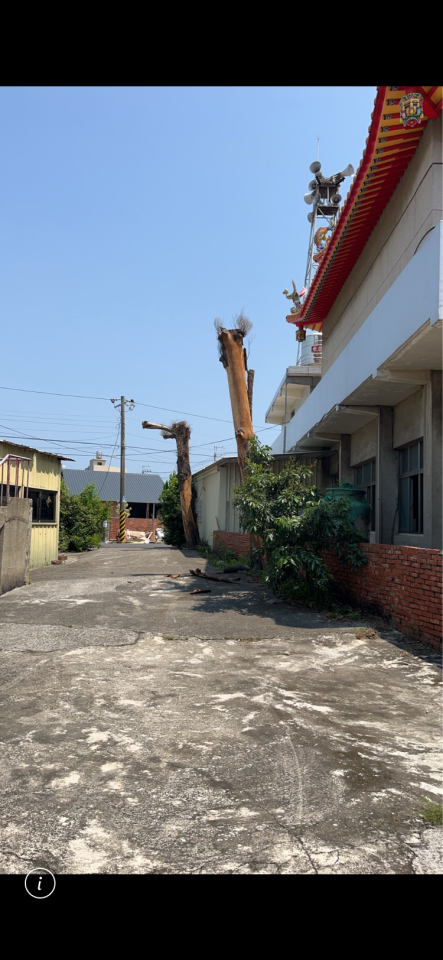 園藝維護案件圖片