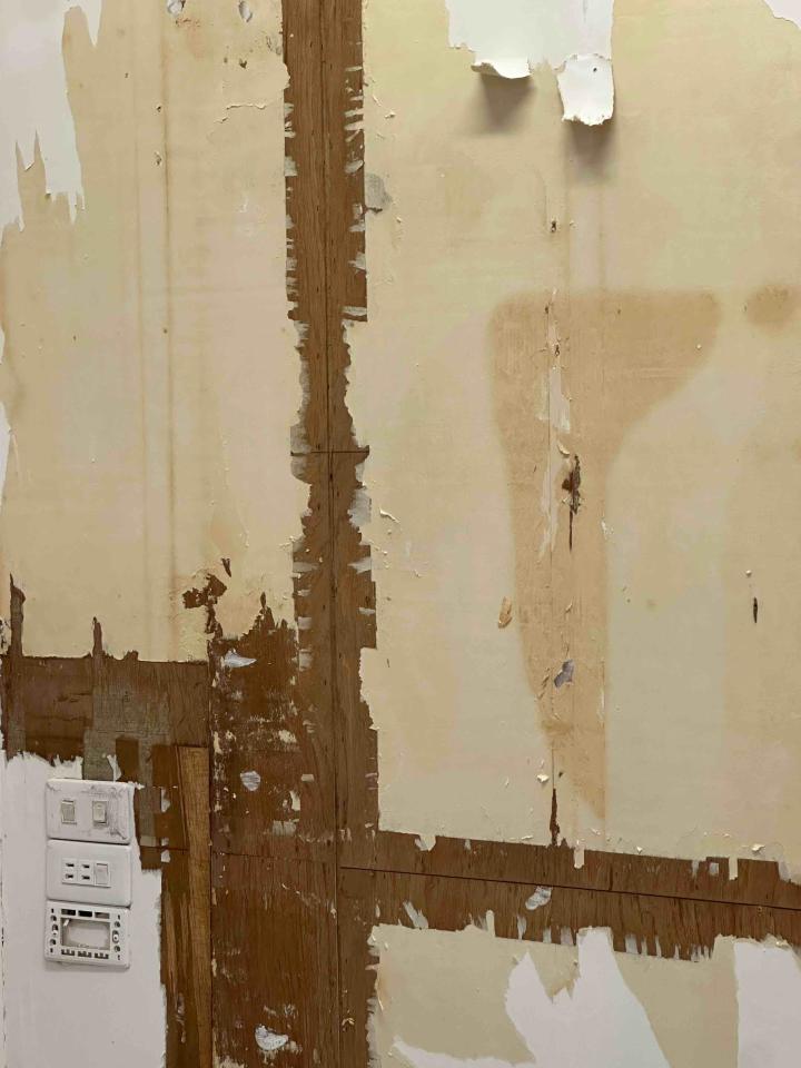 壁紙清除案件圖片