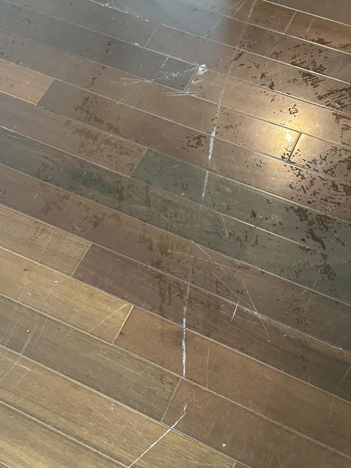 地板拋光打蠟案件圖片