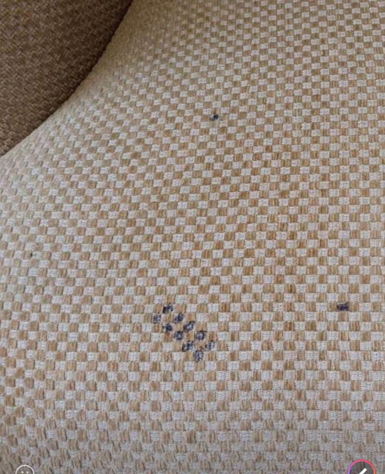 沙發清潔案件圖片