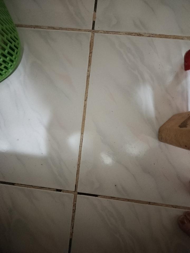 地板施工案件圖片