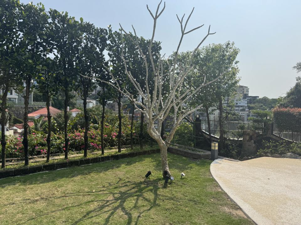 園藝維護案件圖片