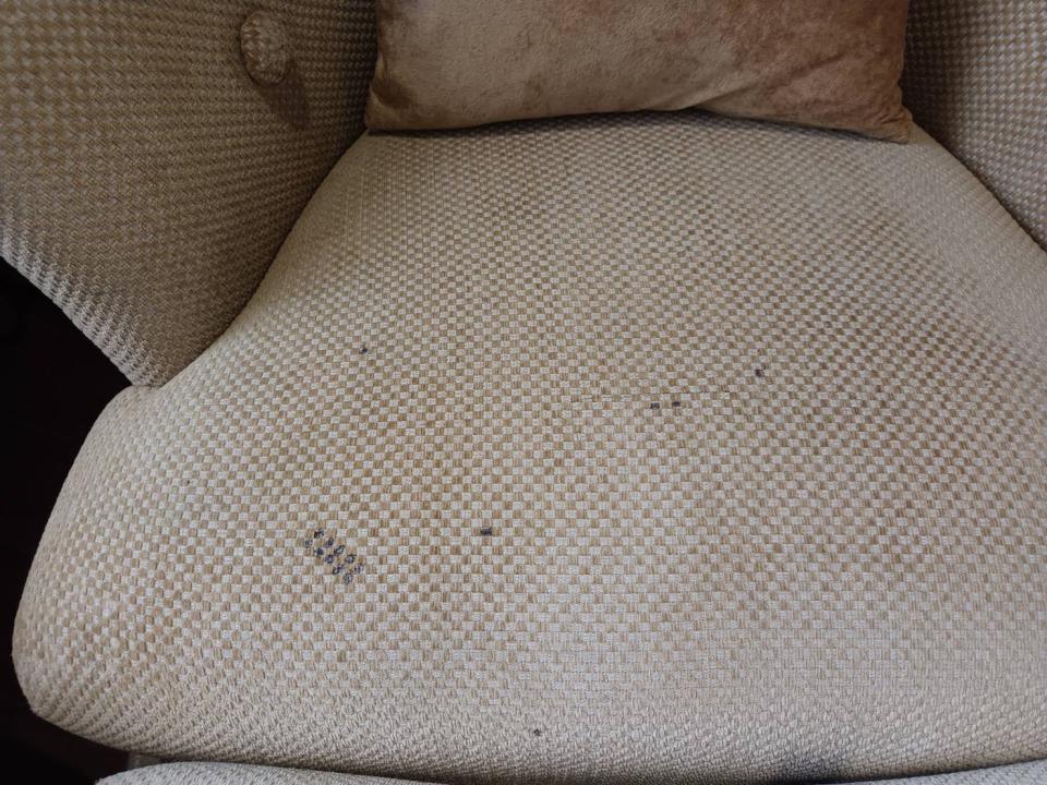 沙發清潔案件圖片