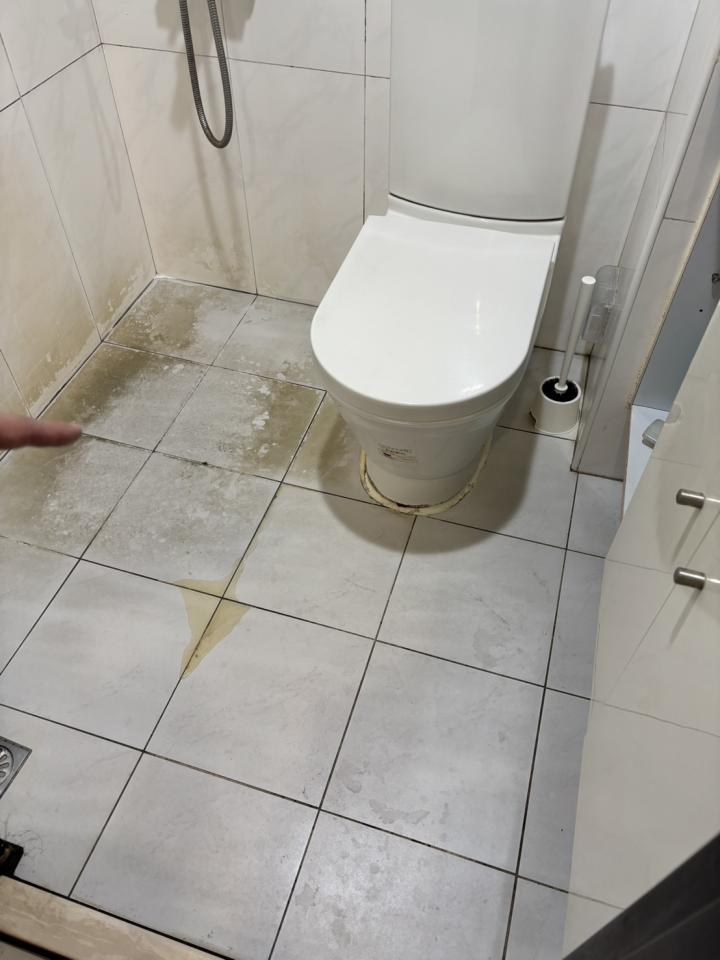 馬桶裝修案件圖片