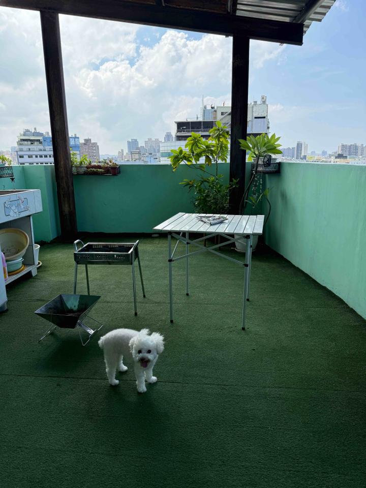 遮雨棚安裝案件圖片