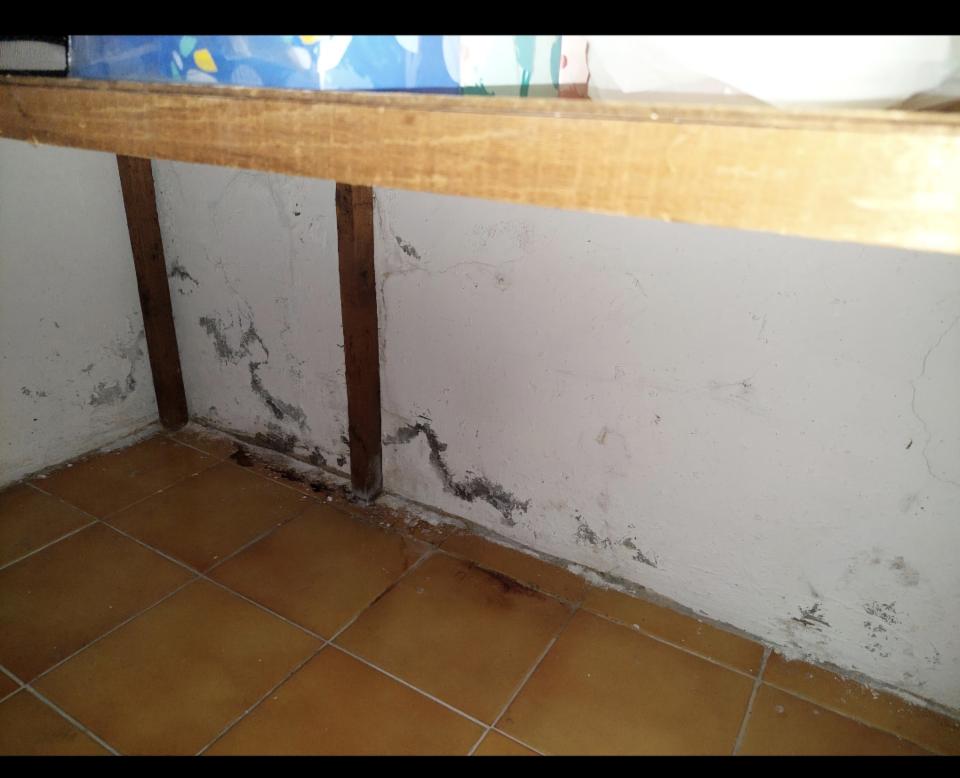 壁癌處理案件圖片