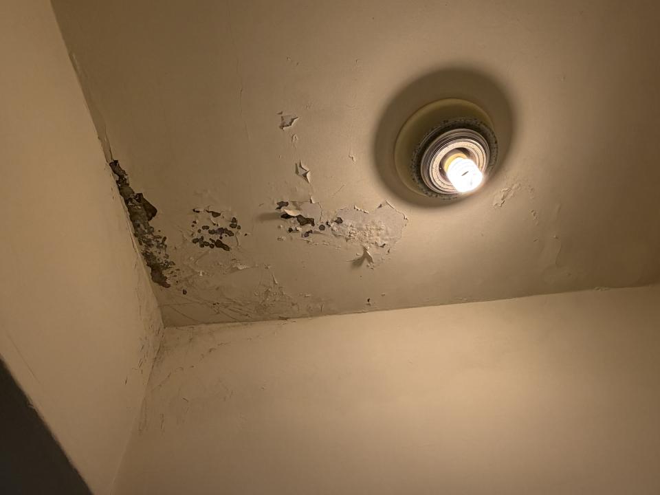 壁癌處理案件圖片