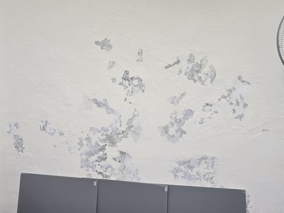 油漆工程案件圖片