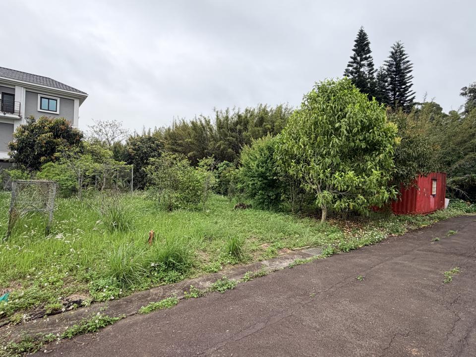 園藝維護案件圖片