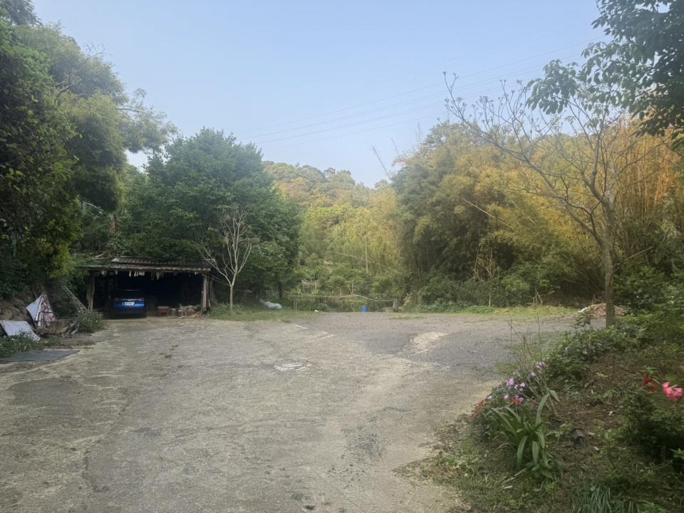 瀝青工程案件圖片