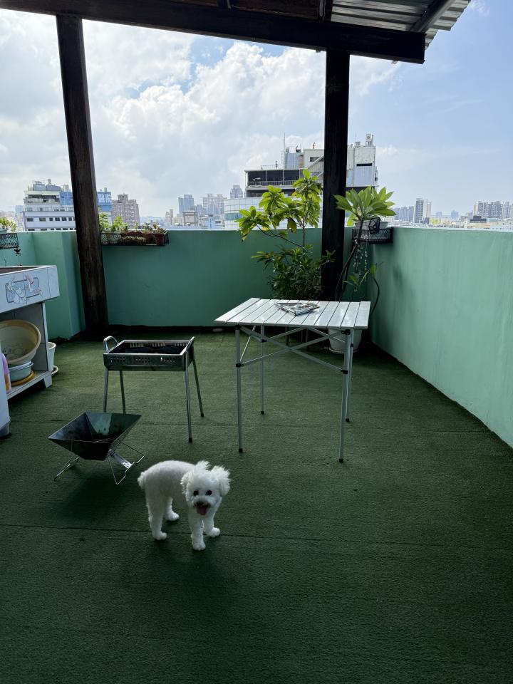 遮雨棚安裝案件圖片